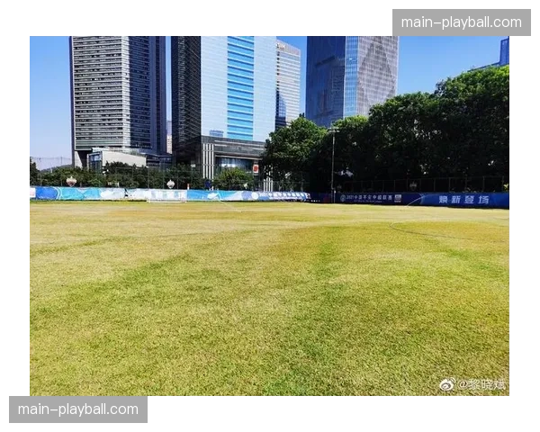 为改善草坪质量支持地面传控,多支西甲俱乐部启动春季草皮维护计划 为改善草坪质量支持地面传控,多支西甲俱乐部启动春季草皮维护计划